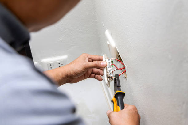 Best Electrical System Inspection  in Palmetto, GA